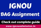 IGNOU BAG Assignment