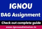 IGNOU BAG Assignment